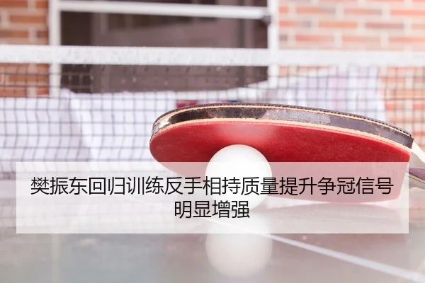 樊振东回归训练反手相持质量提升争冠信号明显增强