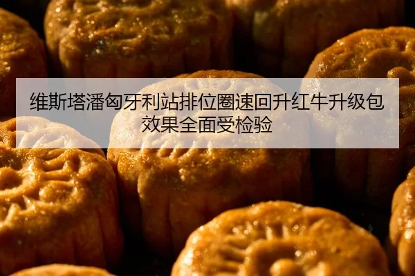 维斯塔潘匈牙利站排位圈速回升红牛升级包效果全面受检验